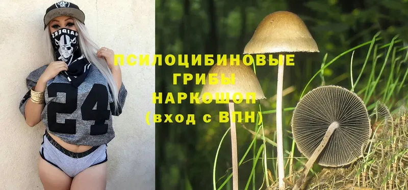 Псилоцибиновые грибы Psilocybine cubensis  Миньяр 